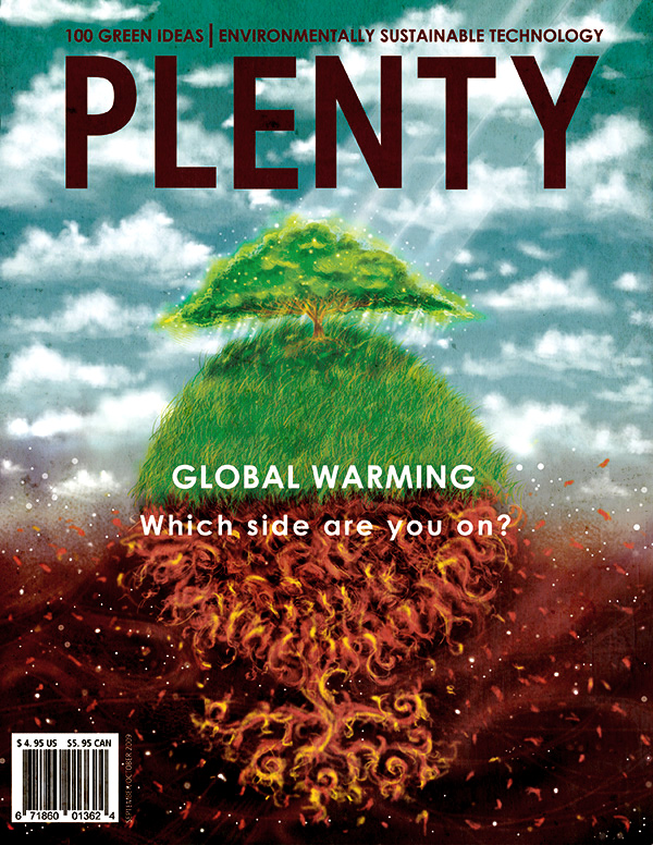 2_plenty_editorial_cover